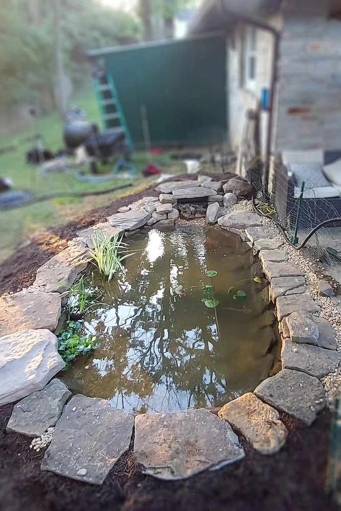 Baltimore pond built with small waterfall for a soothing cascade