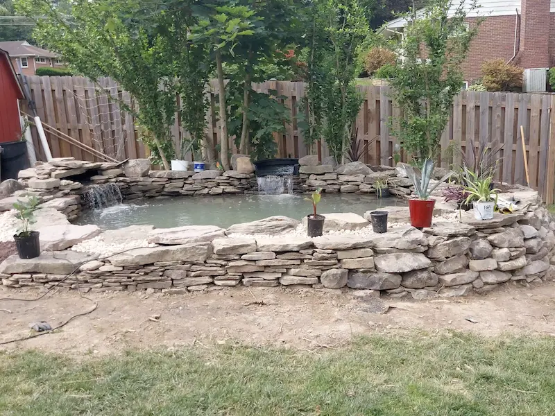 front view of raised koi pond