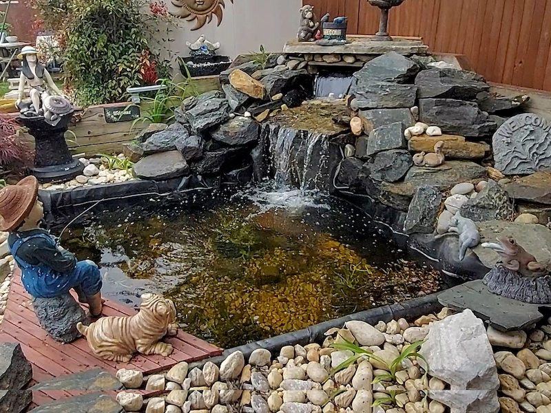 water feature after 1 year
