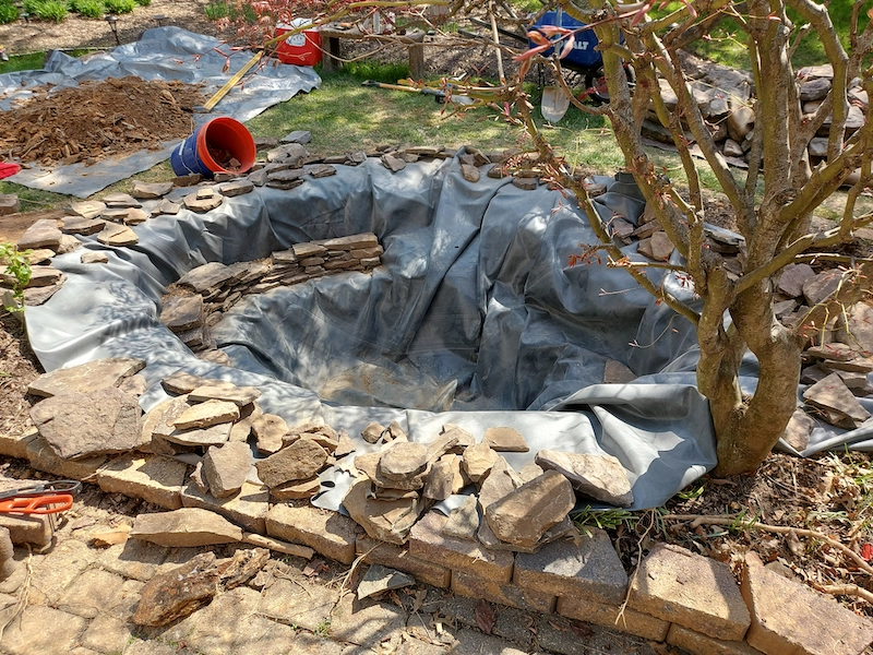 koi pond construction during
