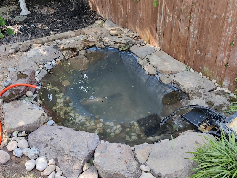 Filling up the koi pond with outdoor faucet