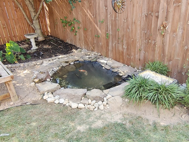 small pond next to fence