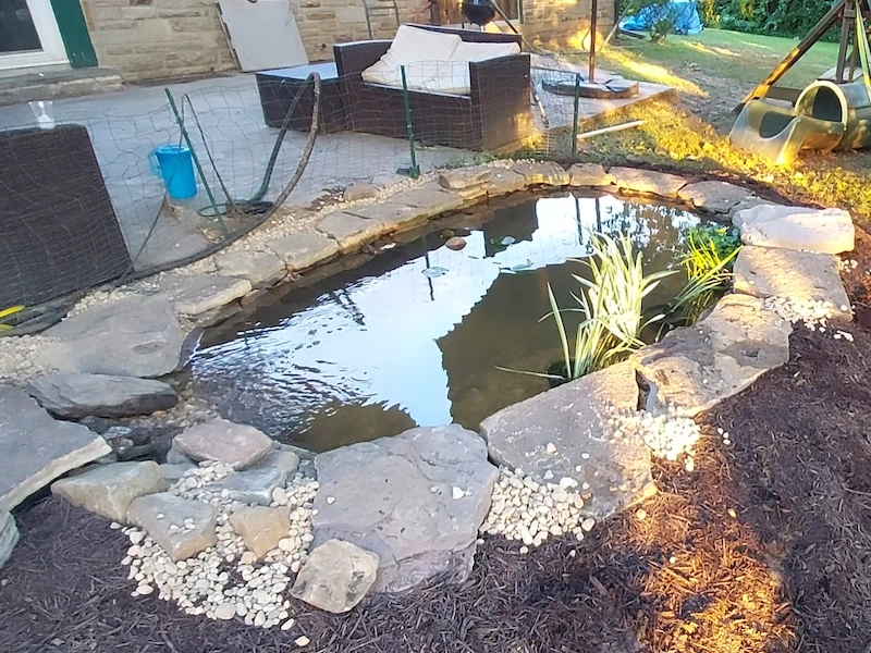 pond flush with backyard patio for professional look