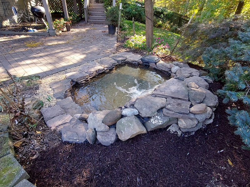 front view of koi pond facing the waterfall