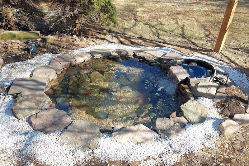 round aquascape ecosystem pond Baltimore, MD