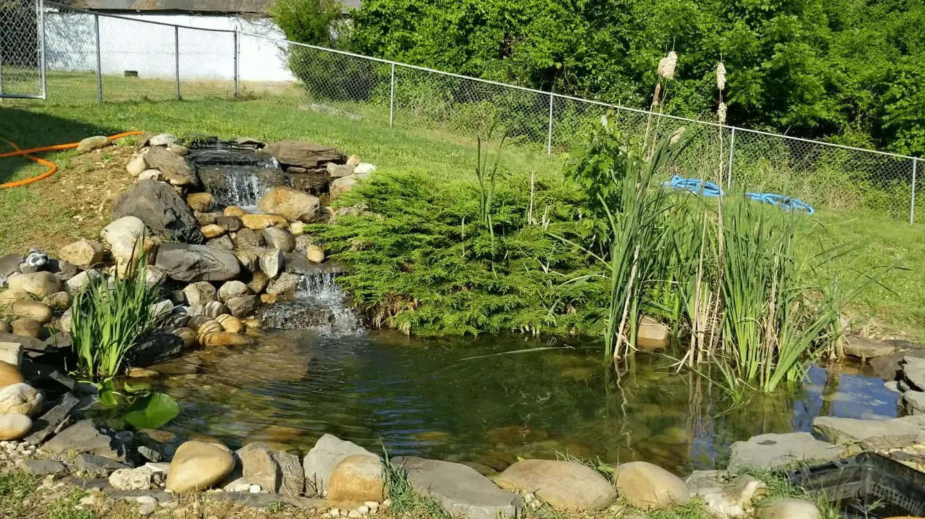 This 3 feet deep rectangular koi pond was equipped with an in ground Pondmaster Clearguard pressurized filter. 
						These filters work alongside an external water pump to filter the water with beneficial bacteria. 
						The filter also comes with a backwash mechanism that allows you to rinse the media without having to disassemble the entire unit.
					