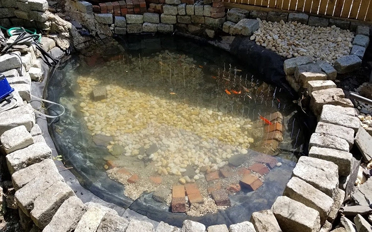 Cleaned concrete pond in Baltimore row house backyard.