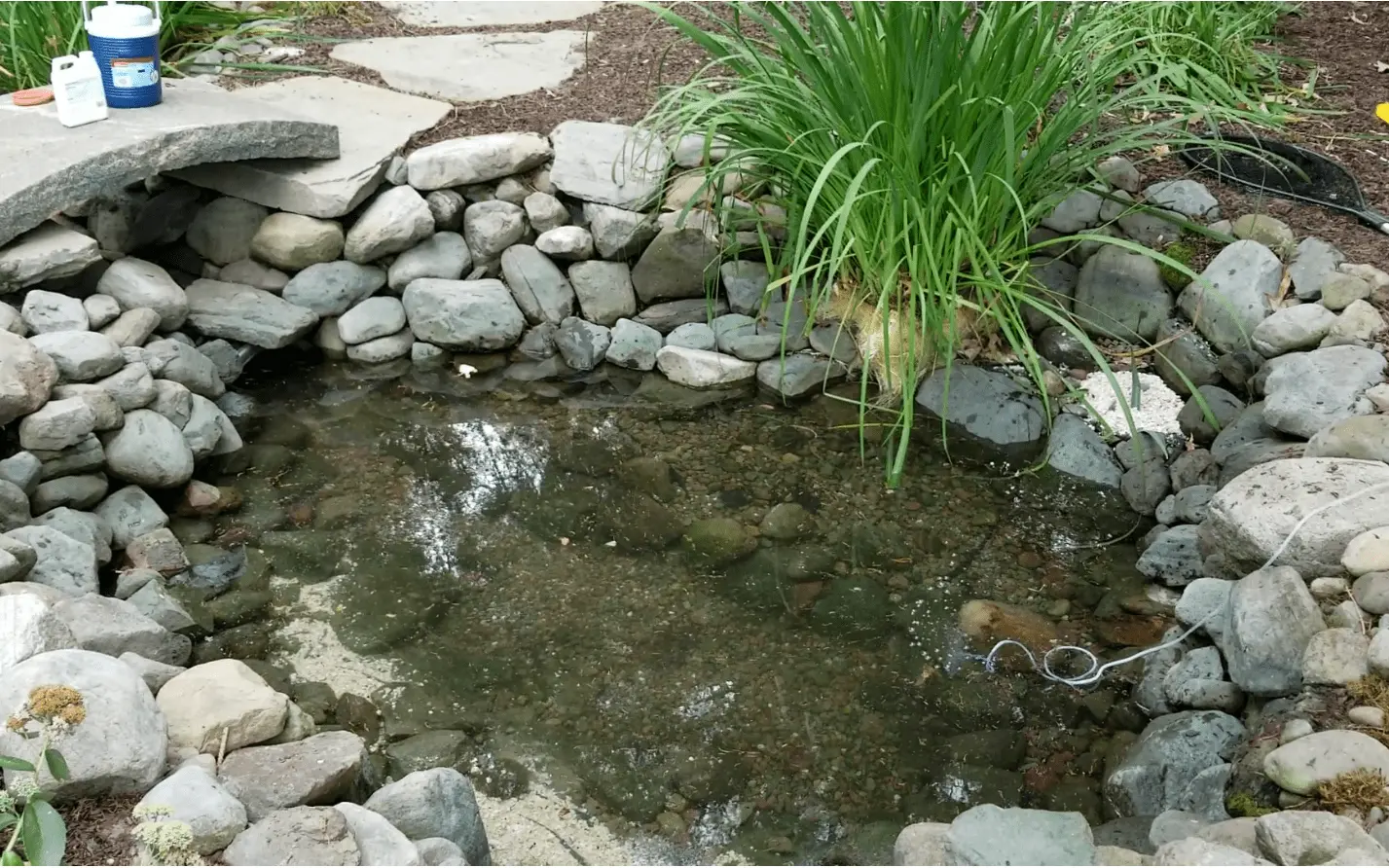 After a cleaning the tinted pond water is replace with clear tap water.