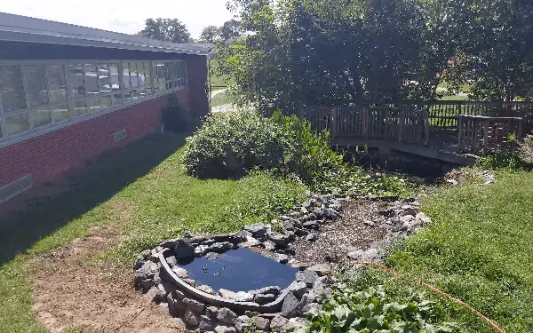 Pond maintenance at Parkville Middle School in Baltimore, MD. 
						We cleaned the pond by pulling out overgrown lilies and installed a new pvc tube as the old one had cracked.