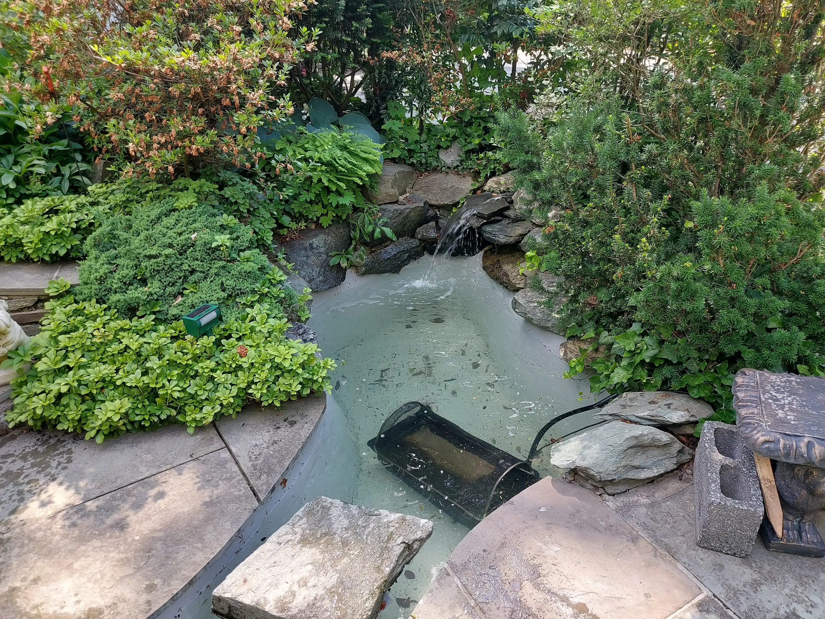 cleaned formal pond in Bethesda, MD